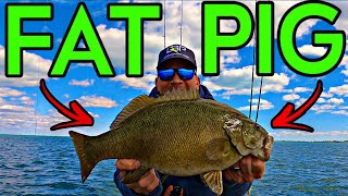BIG BASS in Anchor Bay (Lake St. Clair)  The Land of the GIANTS