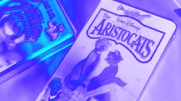 VHS/DVD Collection Videos in a Nutshell (Chorded, Remake)