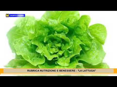Video: Insalata Romana - Contenuto Calorico, Proprietà Utili, Valore Nutritivo, Vitamine