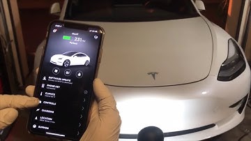 Install ARANA frunk trunk struts on my Tesla Model 3