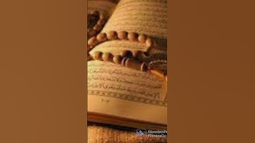 القران الكريم سورة العاديات #القرآن_الكريم #قرآن