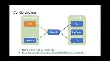 Motoko Bootcamp V1 2022 | Candid   the language of the Internet Computer by Yan Chen