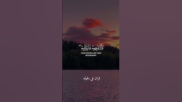 قران كريم ارح قلبك وسمعك #قران_في_دقيقة #المصحف #quran #قرآن @قران_في_دقيقة