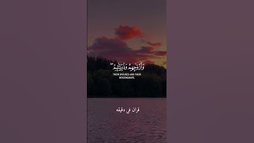 قران كريم ارح قلبك وسمعك #قران_في_دقيقة #المصحف #quran #قرآن @قران_في_دقيقة