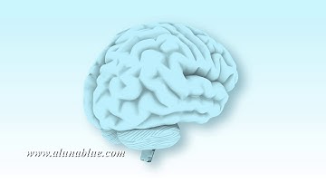 Rotating Brain 1006 HD, 4K Stock Footage