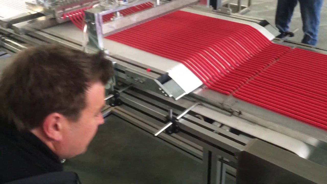 Automatic Meat Stick Cutting Machine/How to make Chicken Strip - YouTube