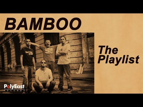 Bamboo