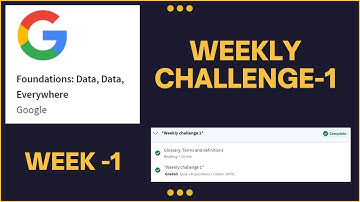 Foundations: Data, Data, Everywhere|Google|Weekly challenge 1|Answer | Coursera