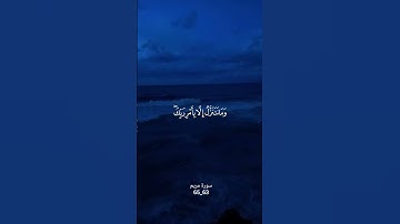 سورة مريم بصوت ياسر الدوسري
