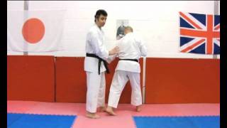 Mawashi uke Bunkai Strategies wk3 sanchin kata application koryu oyo jutsu screenshot 2