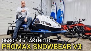 Обзор ОДНО-лыжного снегохода PROMAX SNOWBEAR V3 2023