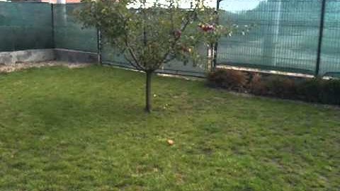 iPhone 3GS video quality test, uploaded from the PC