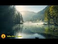 15 Minute Meditation Music, Relaxing Music, Silent Music, Calming Music for Sleep, Lake Ambience