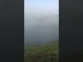 #nature #tracking #travel #shorts