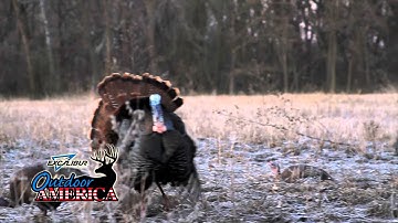 Outdoor America TV takes the CVA Apex Turkey hunting