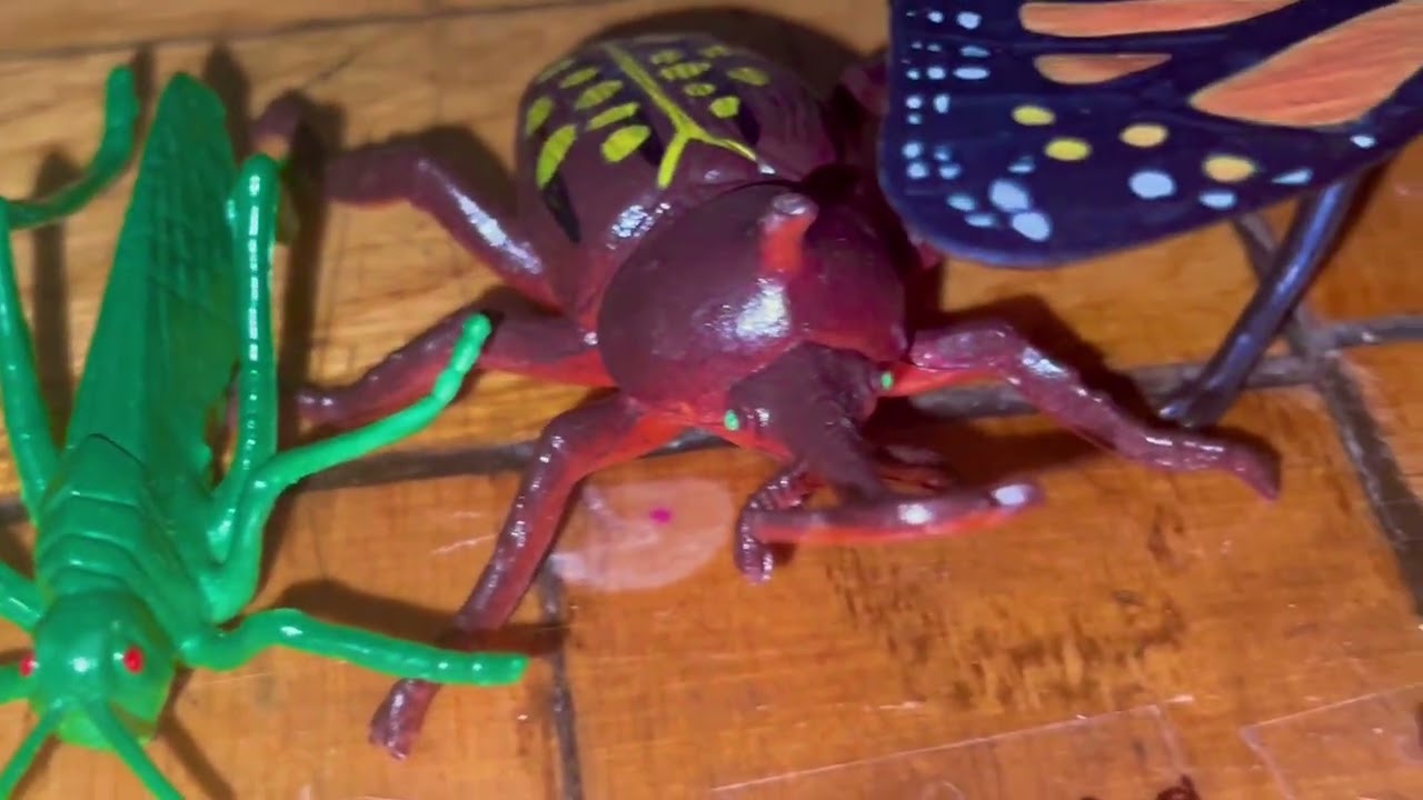 insect size comparison 3d