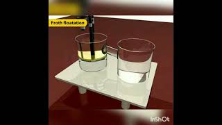 froth floatation process