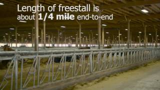 Meadowstar Dairy: Largest Lester Building yet!