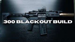 SIG RATTLER .300 BLACKOUT BUILD - ULTIMATE SUPPRESSED PDW
