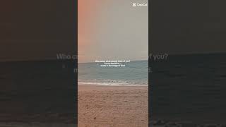 new cover viral bookrecommendations cat haveitoldyoulatelythatiloveyou booksuggestions