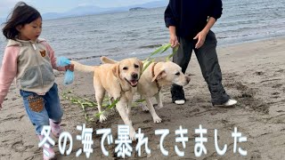 鎌倉の静かな海で富士山バックに流血するくらいの激しいワンプロしてきました