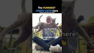 Ranking FUNNIEST GOOFY CATS CORE ?