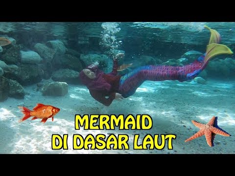 WAH ADA MERMAID DI DASAR LAUT. BERENANG SAMA IKAN ASLI 😍