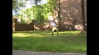RX25 bails and fails edit