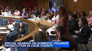 Domestic abuse survivors demand change at special Cook County hearing
