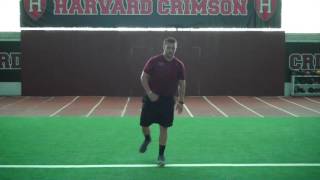 Single Leg (SL) Vertical Jump
