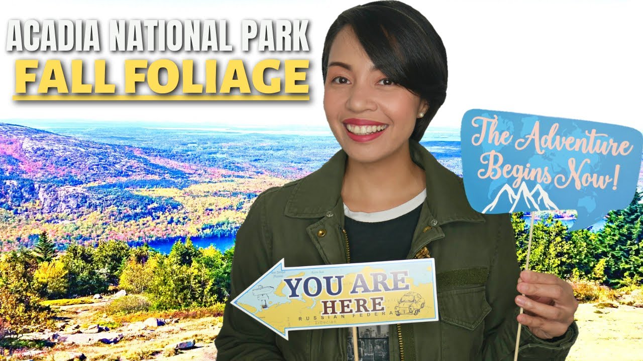 Fall foliage colors at Acadia National Park showing vibrant reds and oranges