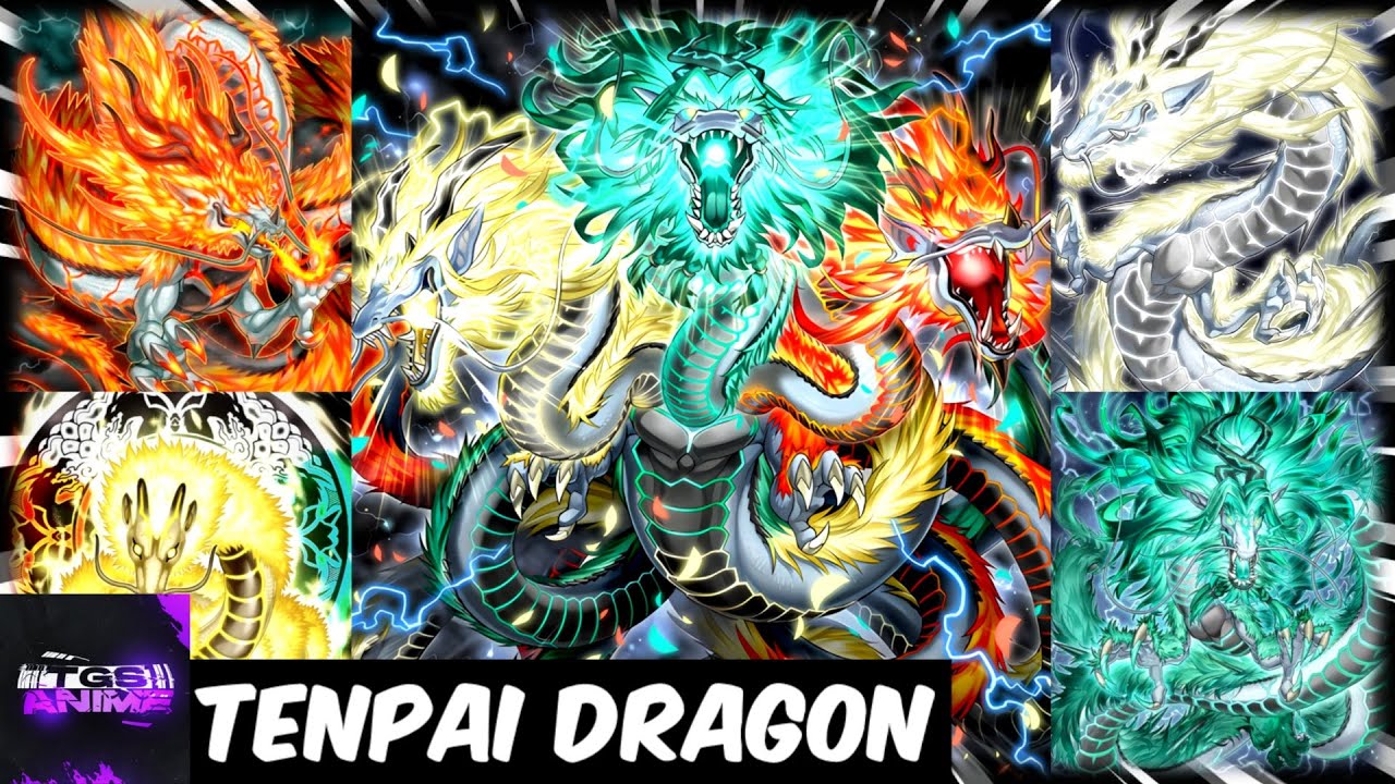 遊戯王OCG Dragon of Illumination 日本選手権 遊戯王】日本選手権！予選優勝プロモ！徹底解説！Dragon of