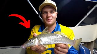 Fishing for Whiting in Australia – Ultimate Fishing Worldwide Fishing News