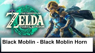 The Legend Of Zelda Tears Of The Kingdom - Black Moblin - Black Moblin Horn