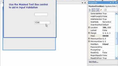 Using The Masked Text Box
