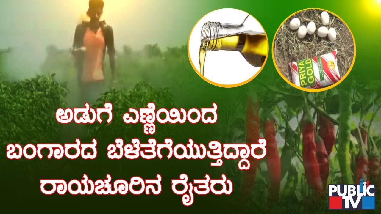 ಅಡುಗೆ ಎಣ್ಣೆಯಿಂದ ಬಂಗಾರದ ಬೆಳೆ ತೆಗೆಯುತ್ತಿದ್ದಾರೆ ರಾಯಚೂರಿನ ರೈತರು..! Raichur Farmers' Success Story