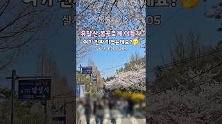 유달산 영상