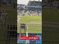 Australia Vs South Africa #cricket #worldcup #australia #southafrica #live #batting #shorts #bowling