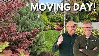 Its Moving Day Rearranging Our Garden Before Winter