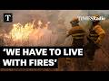 Europe Is ‘Not Prepared’ for Reality of Wildfires | Prof Stefan Doerr