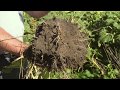 Soil health and soil health institute featured on american farmer tv series