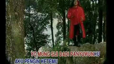 SEWU KUTO DIDI KEMPOT