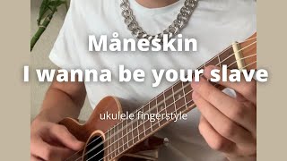 ukulele. Måneskin- I wanna be your slave ukulele fingerstyle