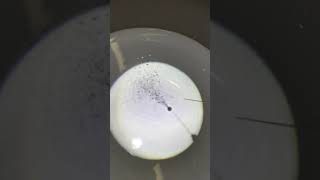 Video FTC test Vista 30G