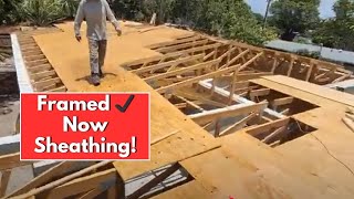 Roof Sheathing Begins! Laying Plywood + Installing Fascia