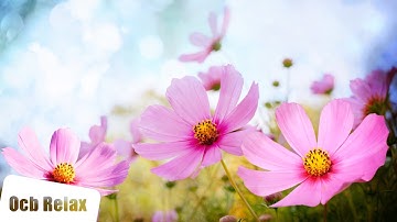 Morning Relaxing Music - Happy and Positive Energy (Diana)