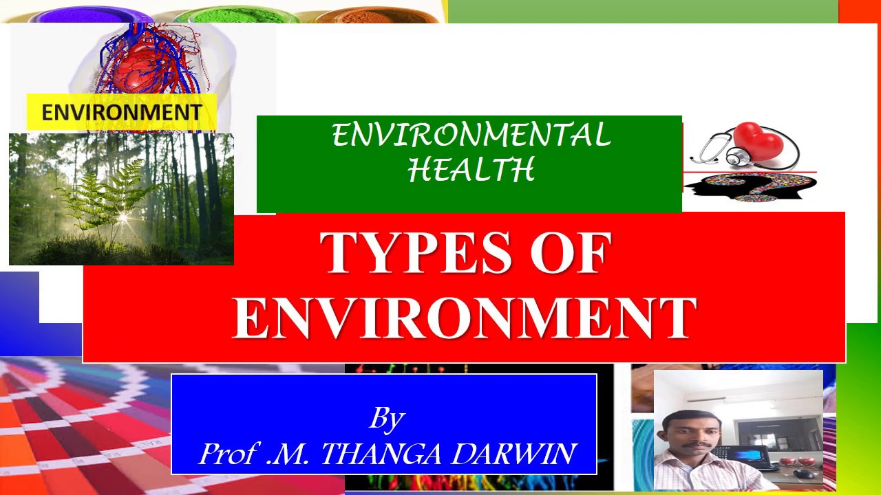 TYPES OF ENVIRONMENT - Environmental studies - YouTube