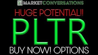 MASSIVE POTENTIAL | Palantir (PLTR) Stock | BUY the DIP? | OPTIONS TRADING! $PLTR | ARK INVEST