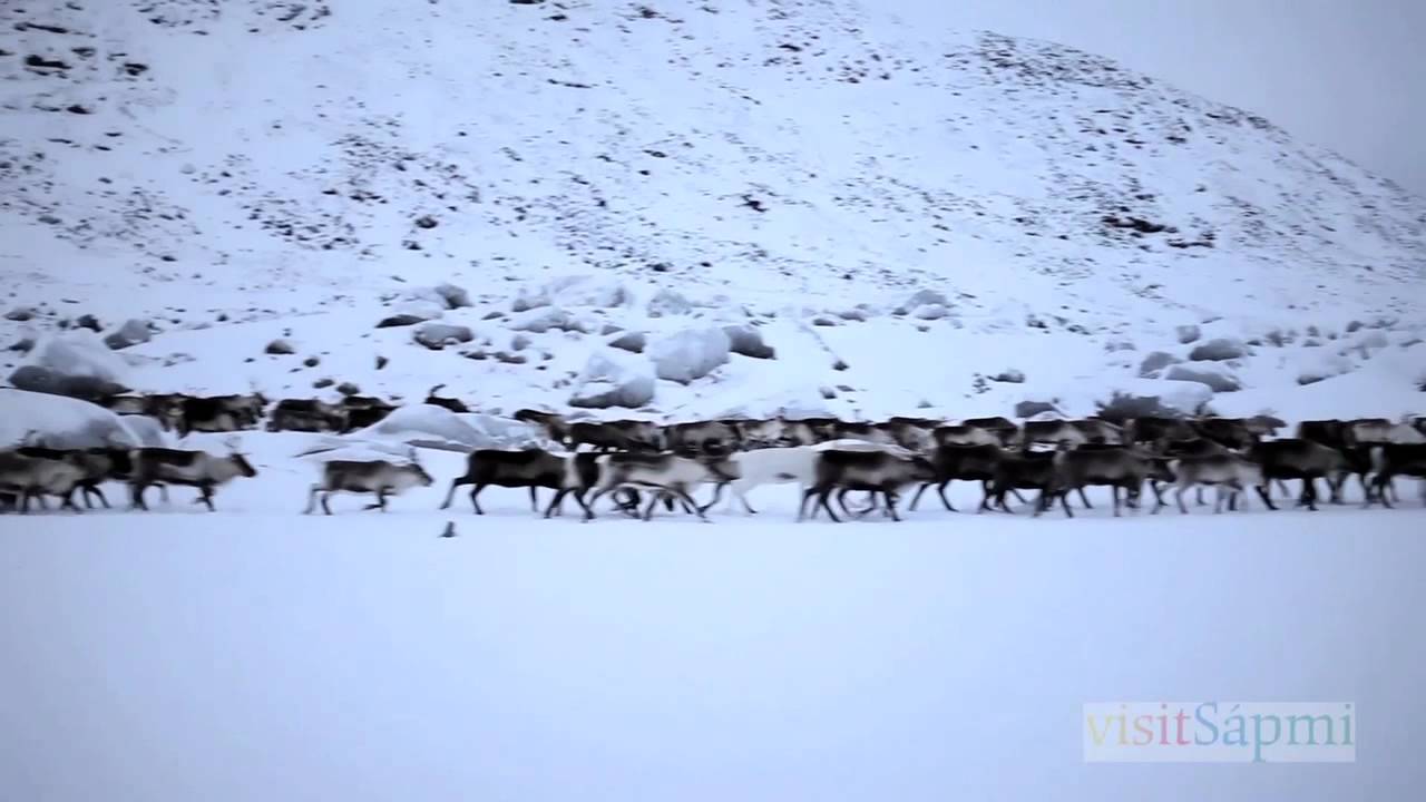 VisitSapmi2
