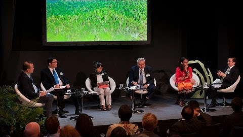 ORX2016: Parallel 1B – Indonesia: Can business-as-usual deforestation be  confronted and reversed?